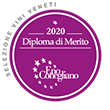 _Diploma-di-Merito-2020